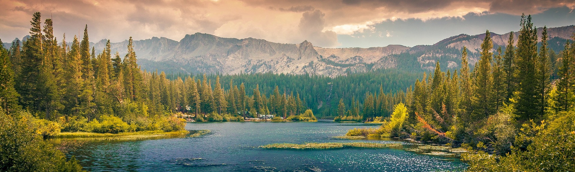 My Search for the Past