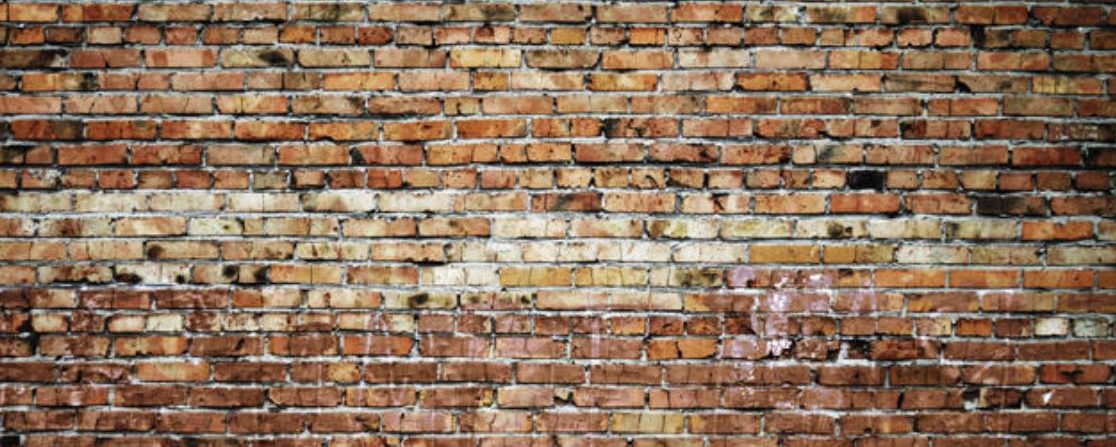 My Search for the Past